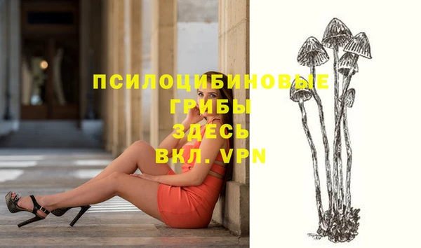 хмурый Липки