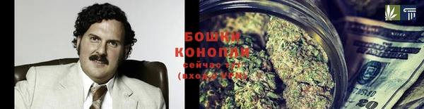 хмурый Липки