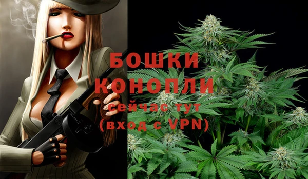 хмурый Липки