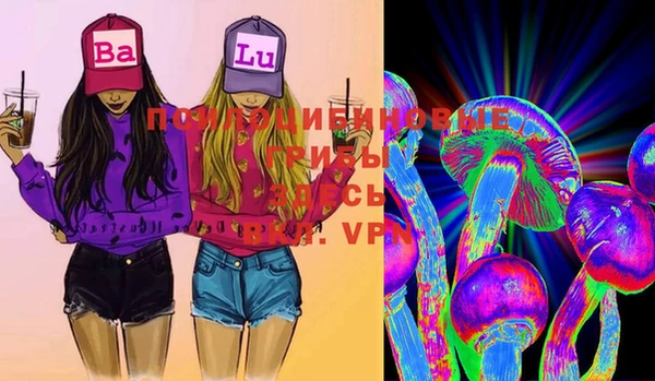 хмурый Липки
