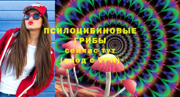 хмурый Липки